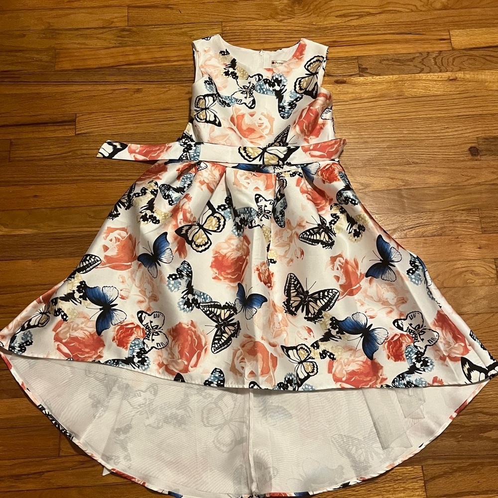 Poppies and Roses Dress from Dillards